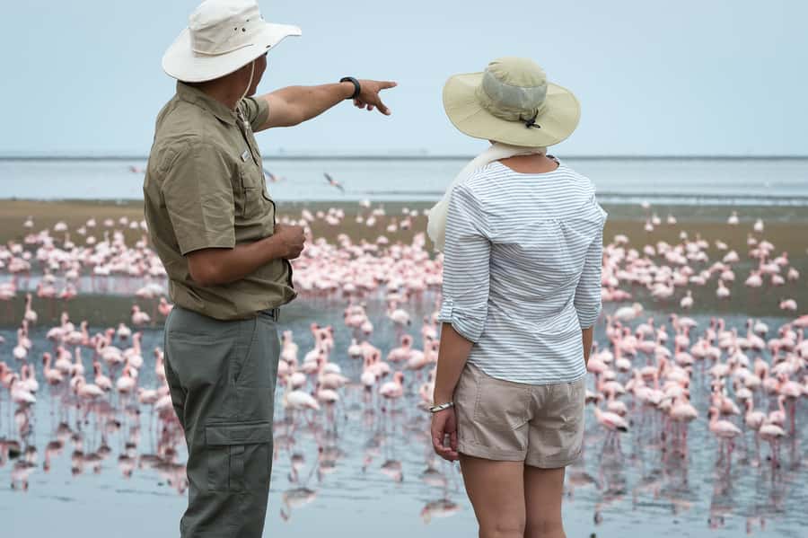 Walvis Bay: 4x4 Desert Excursion to Sandwich Harbour Bay - Walvis Bay Lagoon and the RAMSAR Bird Connection