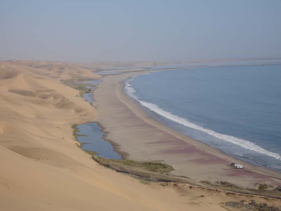 Walvis Bay: 4x4 Desert Excursion to Sandwich Harbour Bay - Price and Value: Is $153 Worth a 4-Hour 4x4?