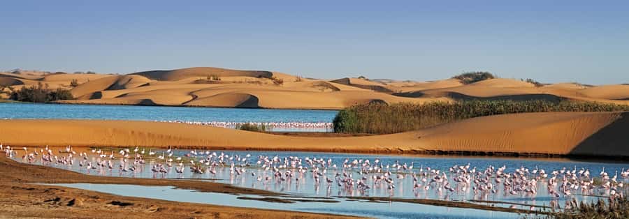 Walvis Bay and Sandwich Harbour Tour - The narrow passage where dunes meet the Atlantic
