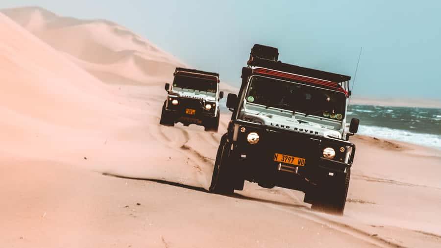 Walvis Bay: Dolphin Cruise, Pink Lakes and 4x4 Dune Drive - Walvis Bay in One Day, Ocean Wildlife and UNESCO Dunes