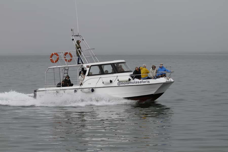 Walvis Bay: Dolphin Cruise, Pink Lakes and 4x4 Dune Drive - Sandwich Harbour by 4x4, Dune Tops and Big Atlantic Views
