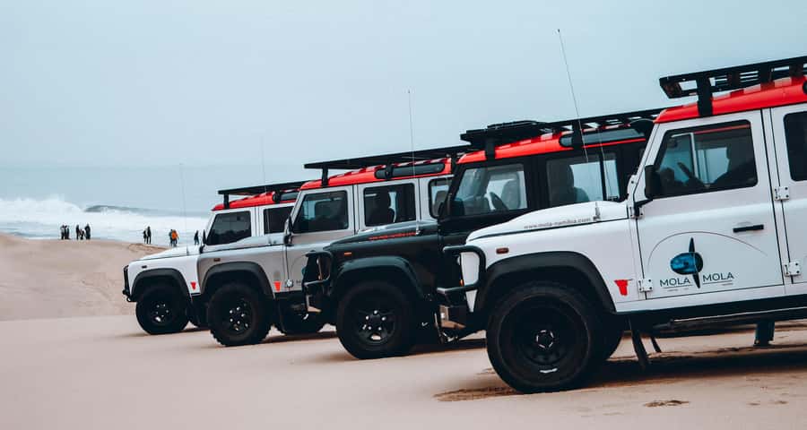 Walvis Bay: Dolphin Cruise, Pink Lakes and 4x4 Dune Drive - Stops That Make the Drive Worth It, Not Just a Ride Through Sand