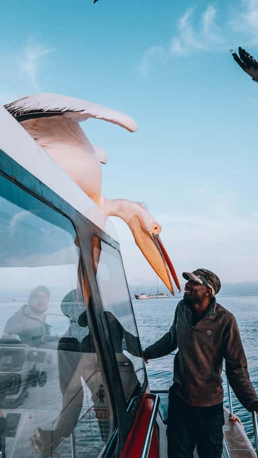 Walvis Bay: Dolphin Cruise, Pink Lakes and 4x4 Dune Drive - Food and Comfort in the Dunes, Lunch With a View
