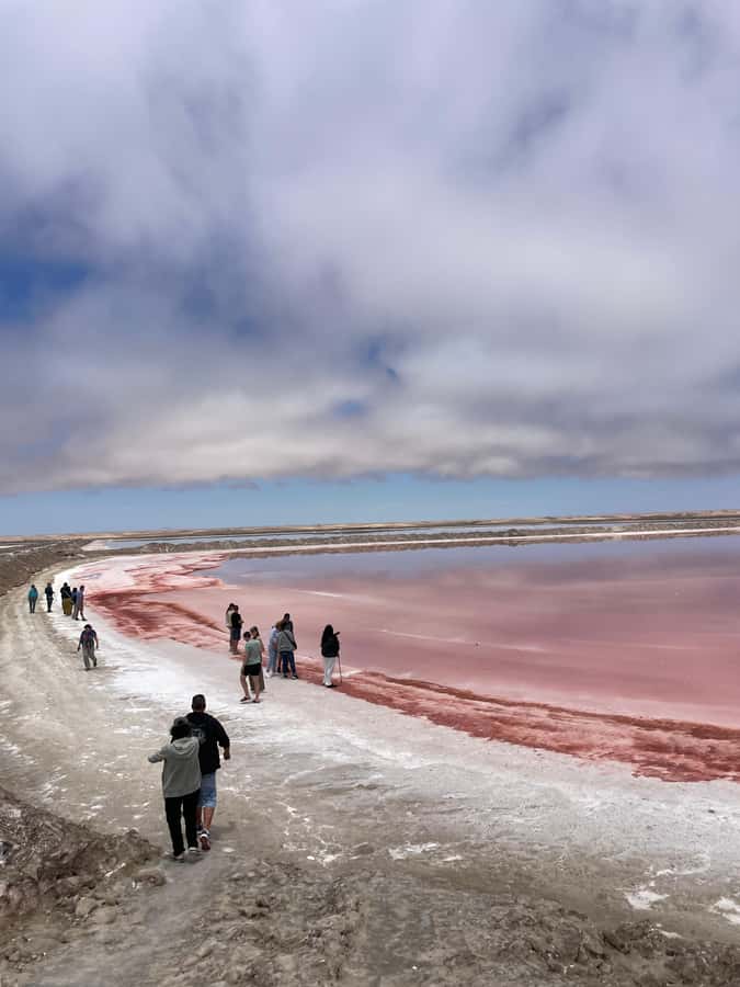 Walvis Bay: Half-Day Tour with Dune 7 and Pink Lake - Walvis Bay Lagoon: flamingos, pelicans, and easy photo angles