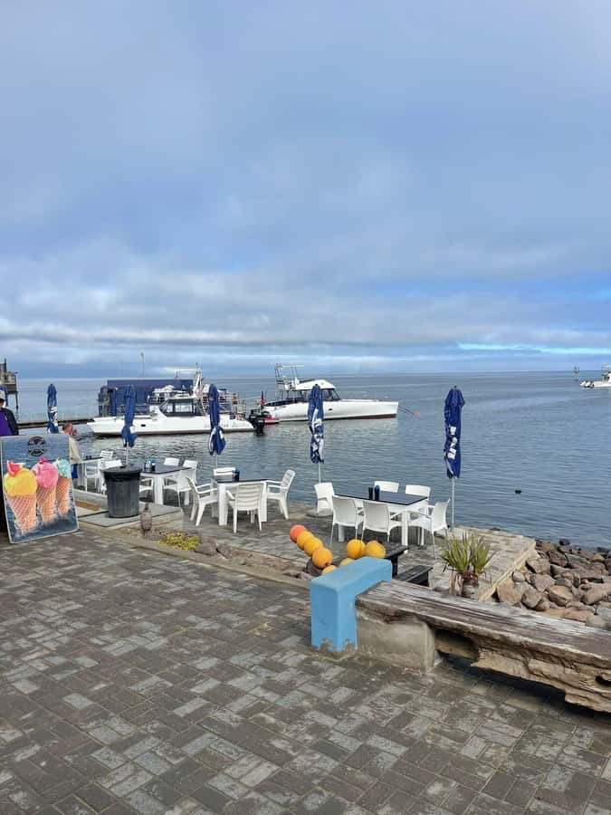 Walvis Bay: Half-Day Tour with Dune 7 and Pink Lake - Guide and group vibe: small, friendly, and built for questions