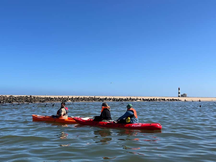 Walvis Bay: Kayaking and Sandwich Harbour Full-Day Tour - The Day Starts in Swakopmund or Walvis Bay, Then Rolls Into Real Namibia
