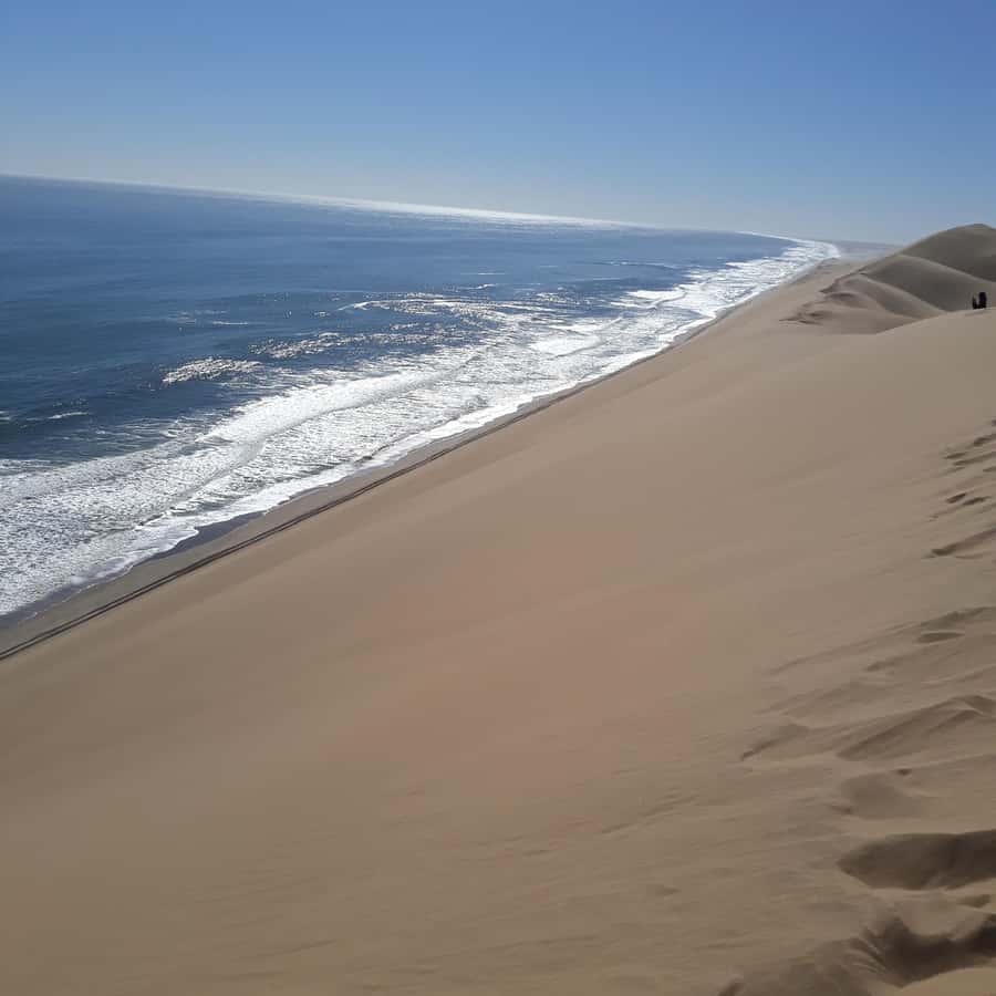 Walvis Bay: Kayaking and Sandwich Harbour Full-Day Tour - Cape Fur Seals at the Old Pier: The Main Event