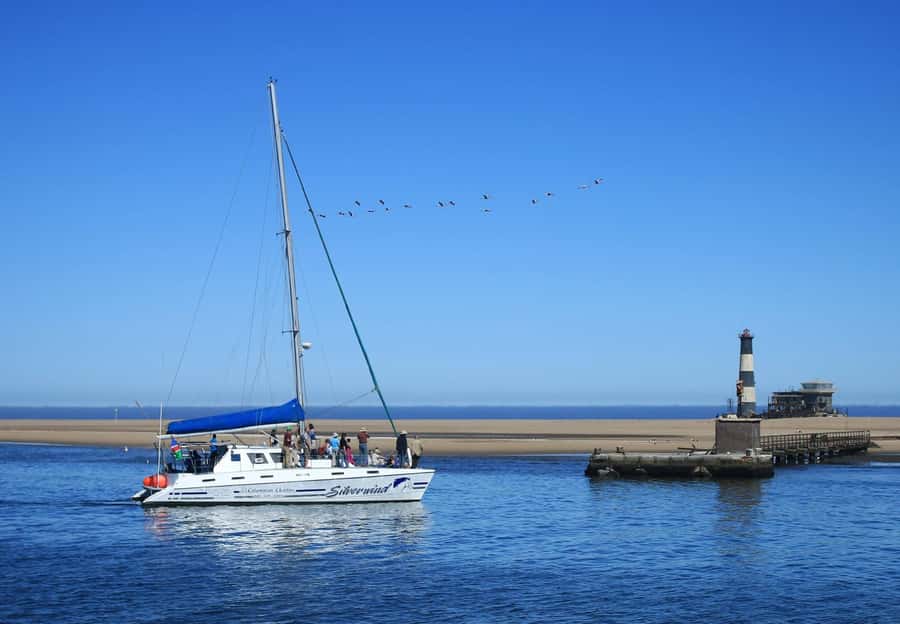 Walvis Bay: Marine Big 5 Luxury Catamaran Tour - A luxury catamaran morning: comfort, service, and the pace of a real outing