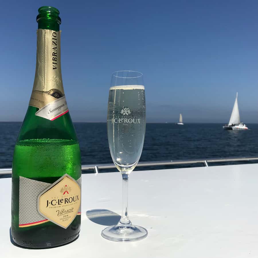 Walvis Bay: Marine Big 5 Luxury Catamaran Tour - Lunch at sea: Namibian oysters and sparkling wine that justify the price