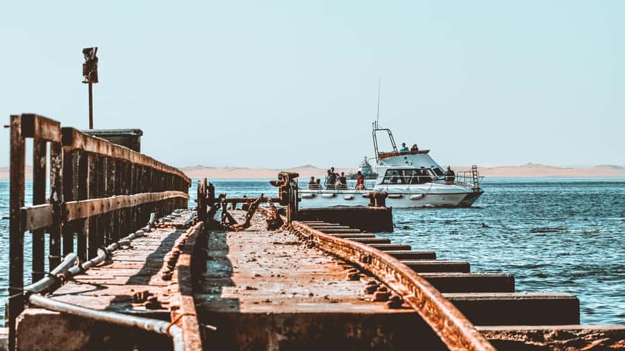 Walvis Bay: Namibian Coast Dolphin Cruise with Light Lunch - Lunch on the coast: oysters, sparkling wine, and a beach-style stop