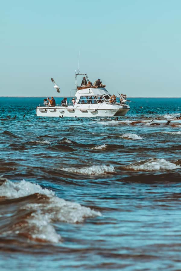 Walvis Bay: Namibian Coast Dolphin Cruise with Light Lunch - How the 3-hour route actually plays out on the water