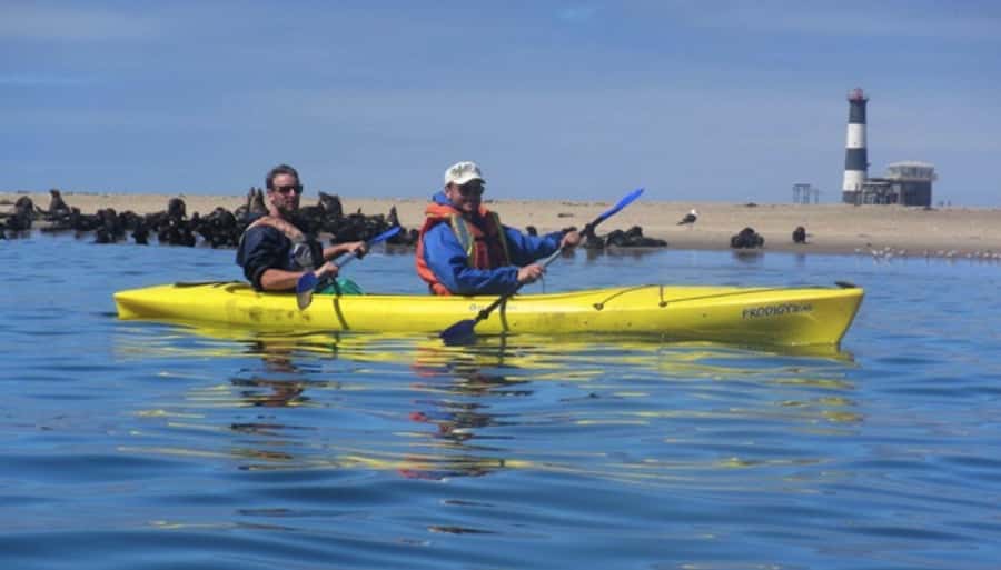 Walvis Bay: Pelican Point Kayaking Tour - Why Pelican Point Kayaking Feels Like Namibia in One Morning