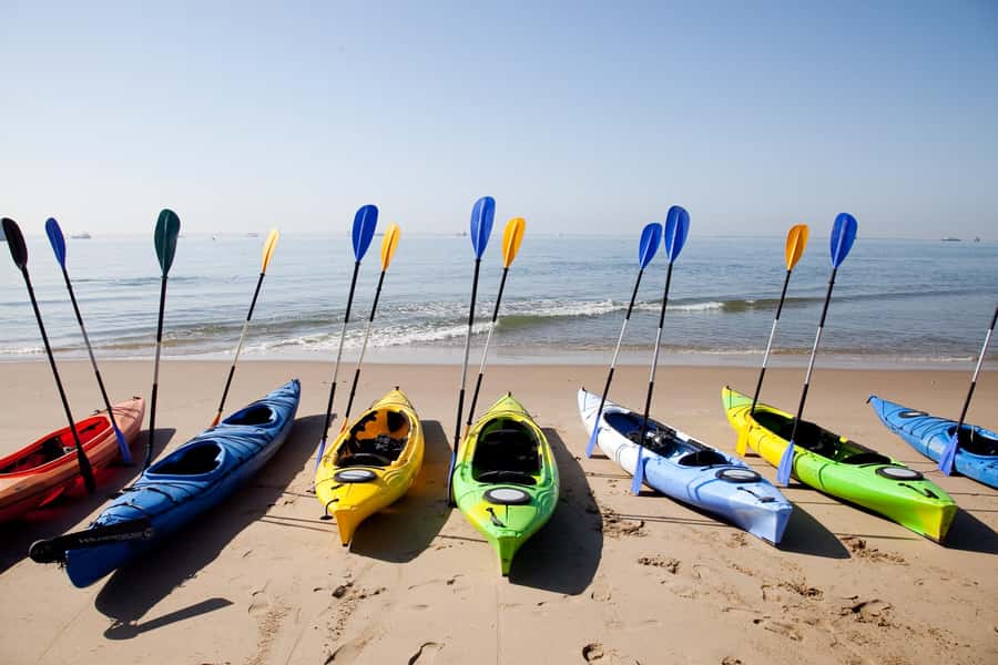 Walvis Bay: Pelican Point Kayaking Tour - Breakfast and Coffee: The Smart Way to End on Land