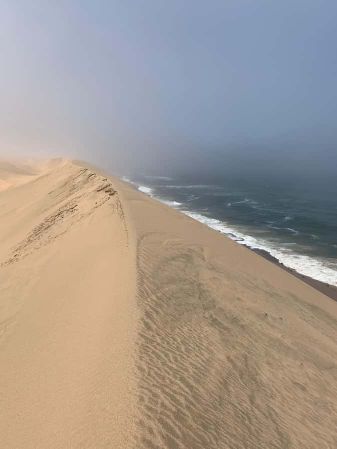 Walvis Bay: Pelican Point Seal and Sandwich Harbour Tour - Pelican Point and Sandwich Harbour in one long, well-paced loop