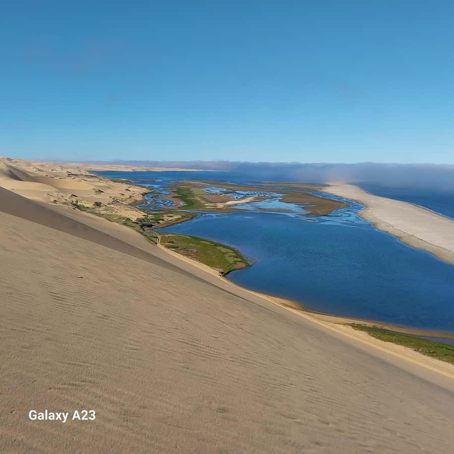 Walvis Bay: Pelican Point Seal and Sandwich Harbour Tour - Price and value for $193 per person