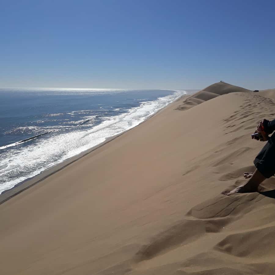 Walvis Bay: Pelican Point Seal and Sandwich Harbour Tour - Who should book, and who should think twice