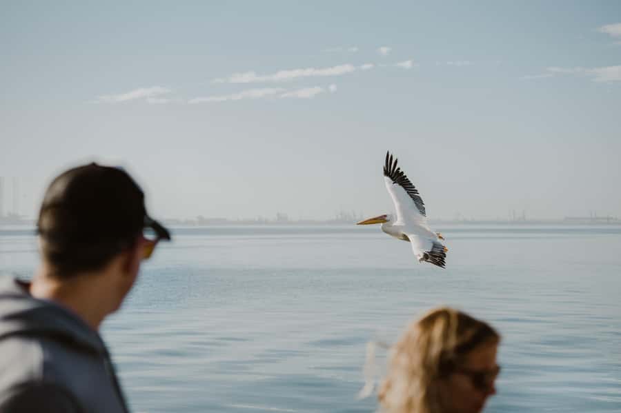 Walvis Bay: Sandwich Harbour 4x4 Trip with Beach BBQ Lunch - Price and value at $369 per person, what you’re truly paying for