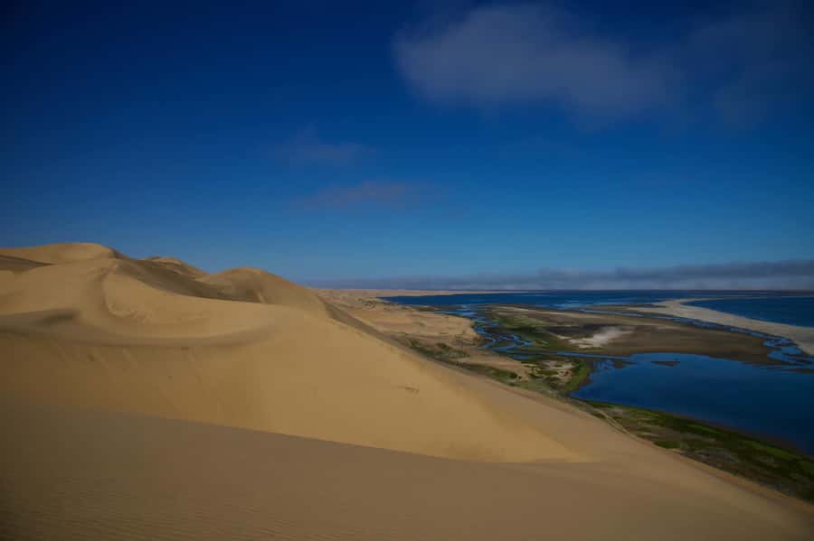 Walvis Bay: Sandwich Harbour Half-Day 4x4 Scenic Excursion - Key Points Before You Go