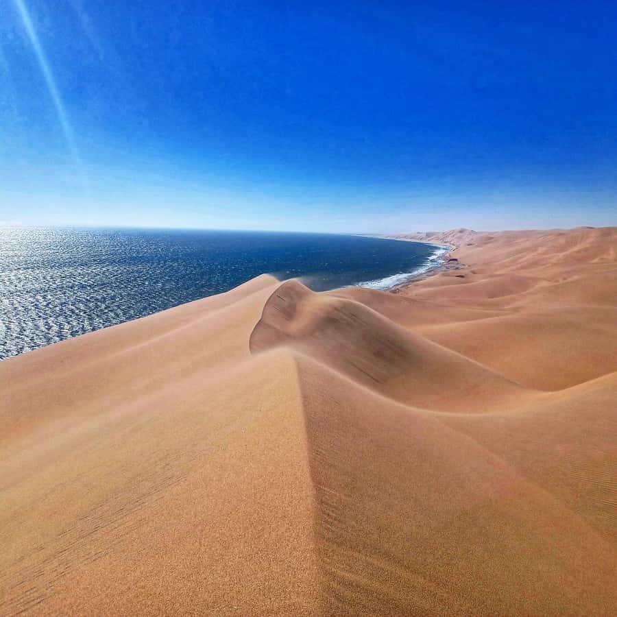 Walvis Bay: Sandwich Harbour Half-Day 4x4 Scenic Excursion - Kuiseb River Delta Finish: Dry Riverbed Wildlife Moments