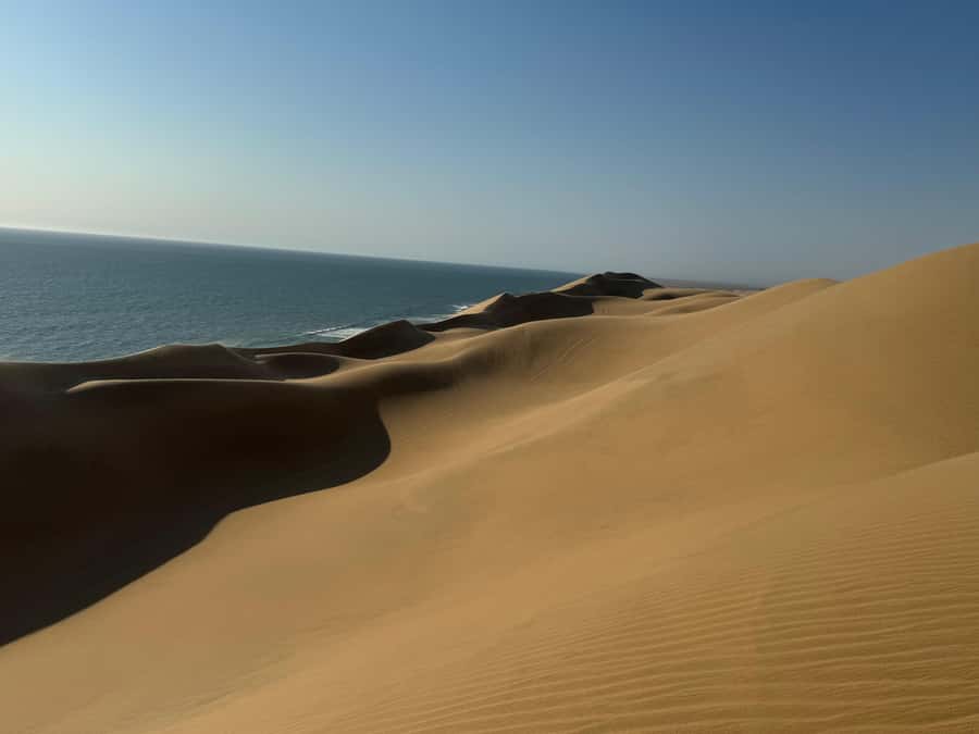 Walvisbay: Sandwich Harbour SUNSET Tour-End It Beautifully - Snacks, drinks, and champagne on the move