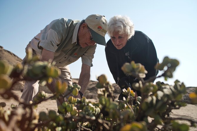 Welwitschia Tour from Swakopmund - 4x4 comfort and pacing for people who don’t want to self-drive