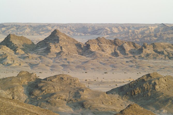 Welwitschia Tour from Swakopmund - Timing and light: a late-afternoon outing that can end beautifully