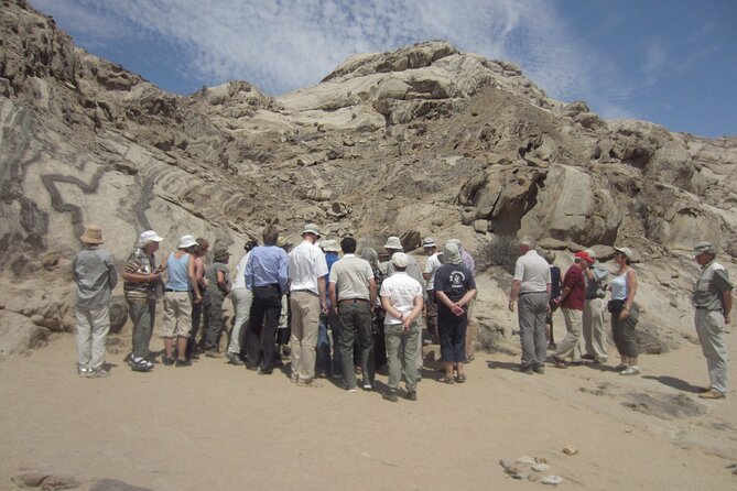 Welwitschia Tour from Swakopmund - Who this Welwitschia tour is best for