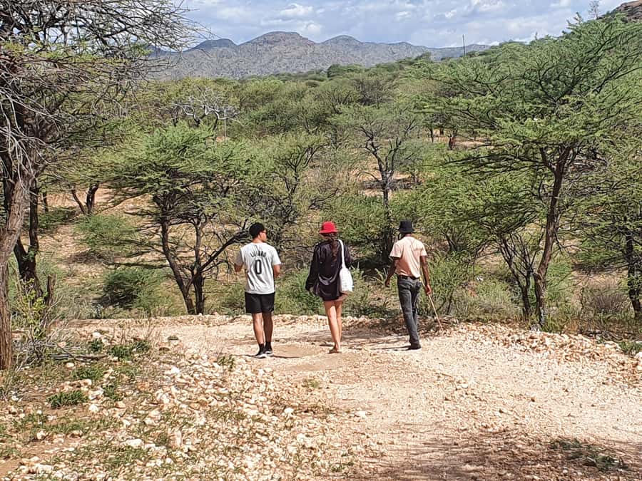 Windhoek: Bushman Walk with the San - Why this San bushwalk fits Windhoek so well