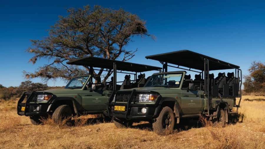 Zannier Game Drive with Hotel Pickup - Windhoek Pickup Makes the Day Feel Effortless