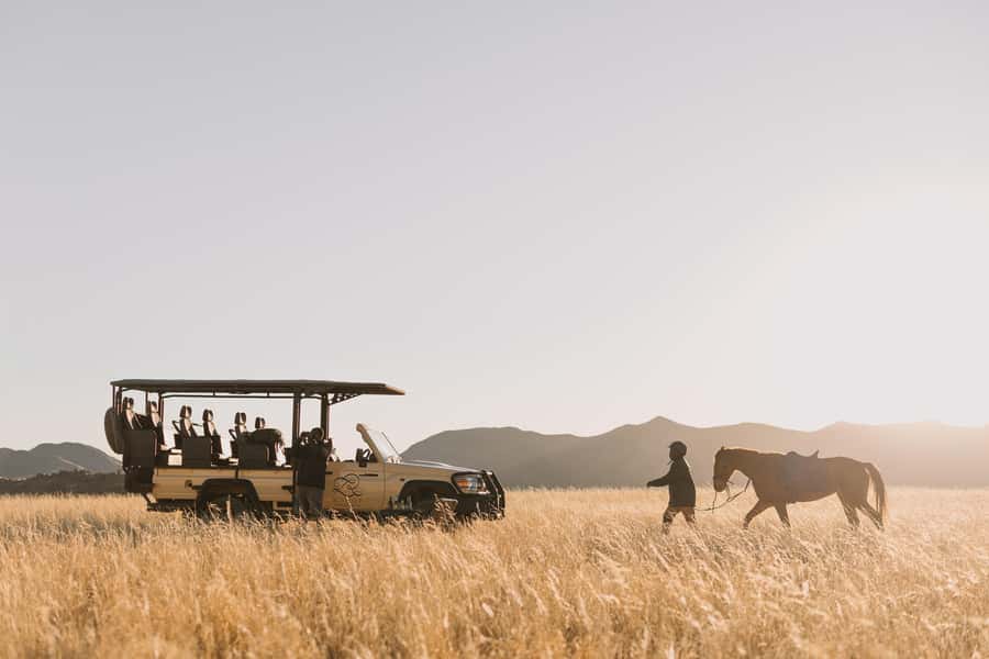 Zannier Game Drive with Hotel Pickup - N/a’an ku sê Wildlife Sanctuary: Why This Visit Feels Purposeful